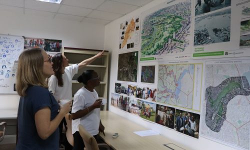 Viewing the Maps