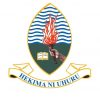 UDSM logo